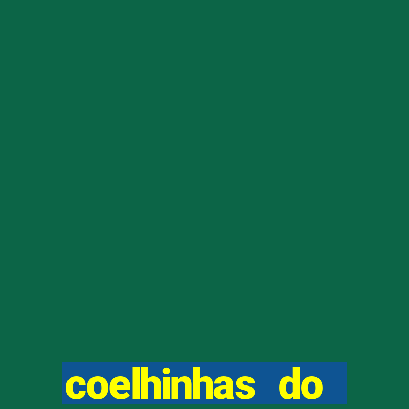 coelhinhas do brasil recife